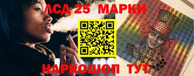 индика Лесосибирск