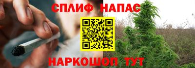 индика Лесосибирск