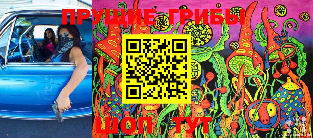 Чапаевск  Псилоцибиновые грибы Psilocybe  дарнет шоп  Вход с VPN 
